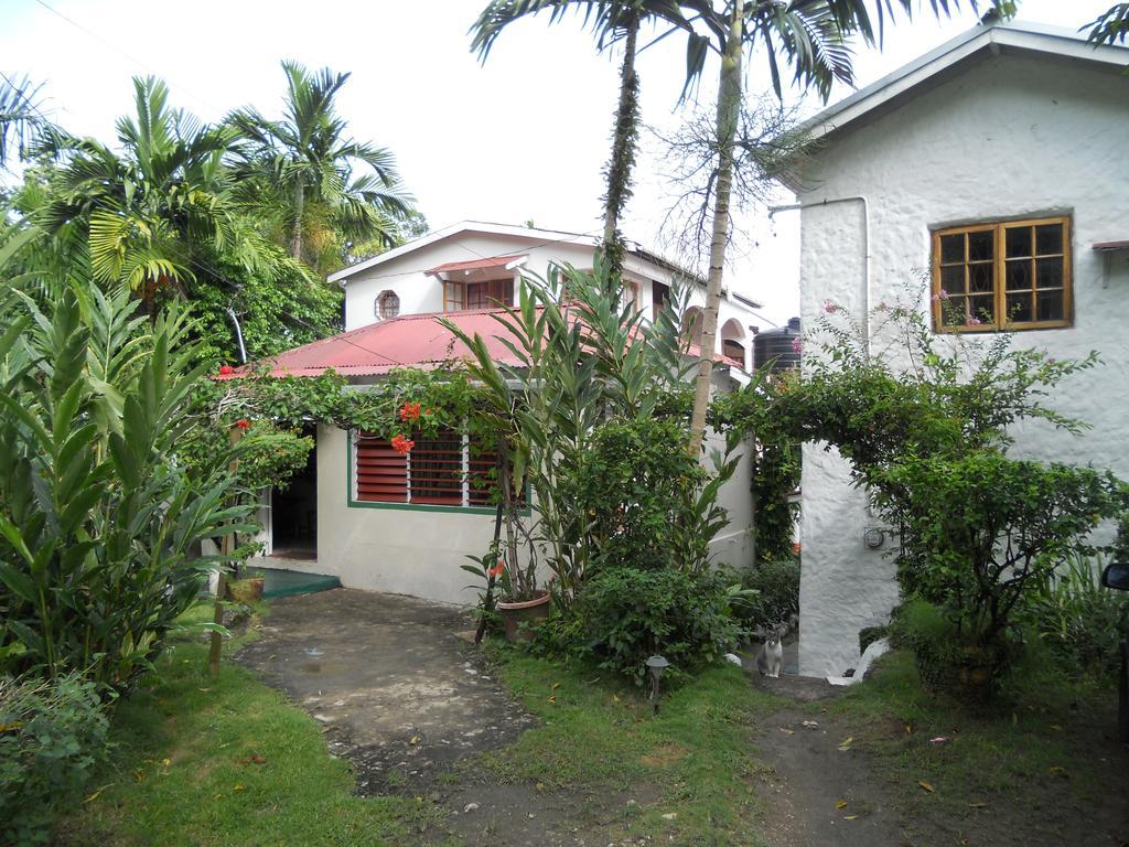 Drapers San Guest House بورت أنطونيو المظهر الخارجي الصورة