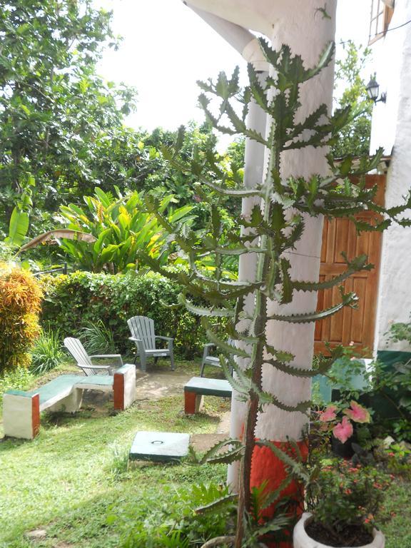 Drapers San Guest House بورت أنطونيو المظهر الخارجي الصورة